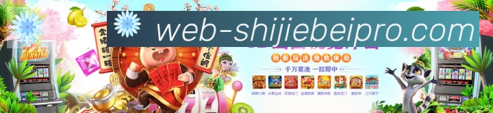 战术分析频道